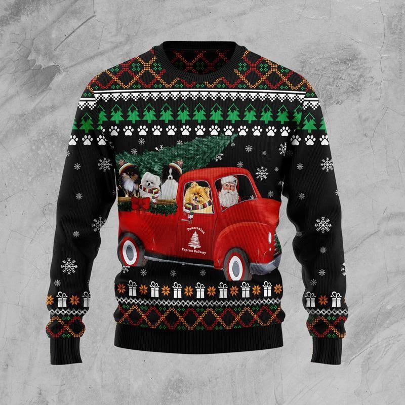 Pomeranian & Santa Claus Ugly Sweater