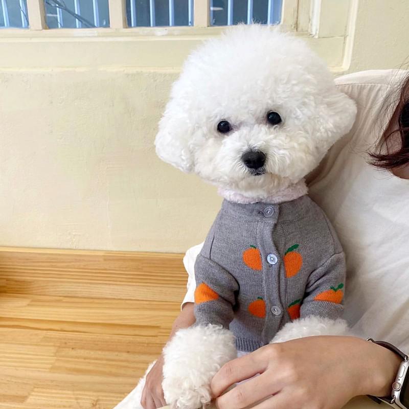 Winter Pet Dogs Clothes Carrot Print Cute Dogs Sweater Cotton Warm For Small Medium Dogs Coats Clothing Shih Tzu Costumes Perro alx