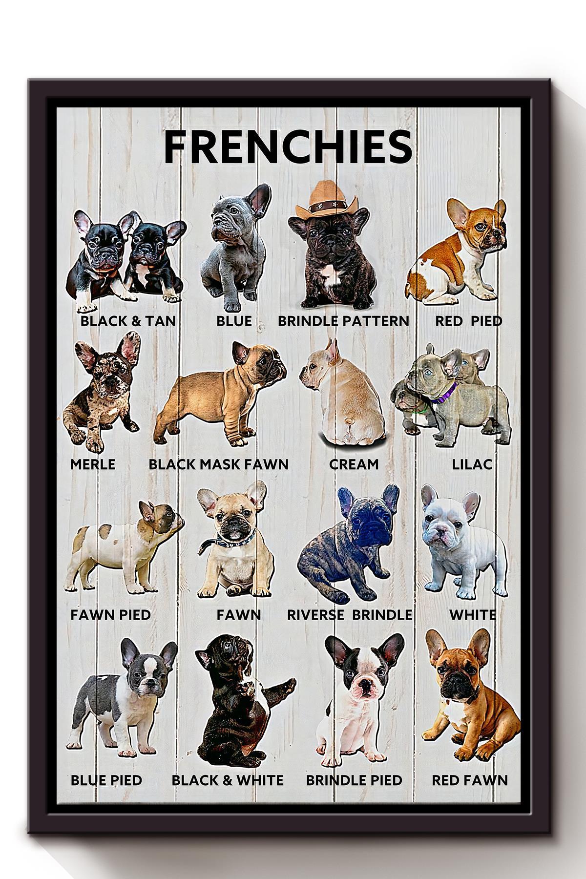 Types Of French Bulldog Animal Knowledge For Homeschool Nusery Kids Bedroom Decor Framed Canvas