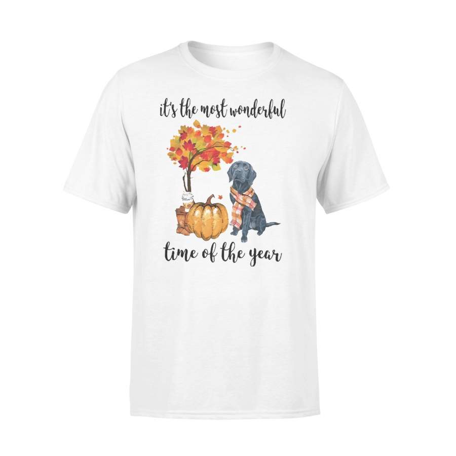 Fall Pumpkin It’s The Most Wonderful Time Of The Year Black Labrador T-Shirt