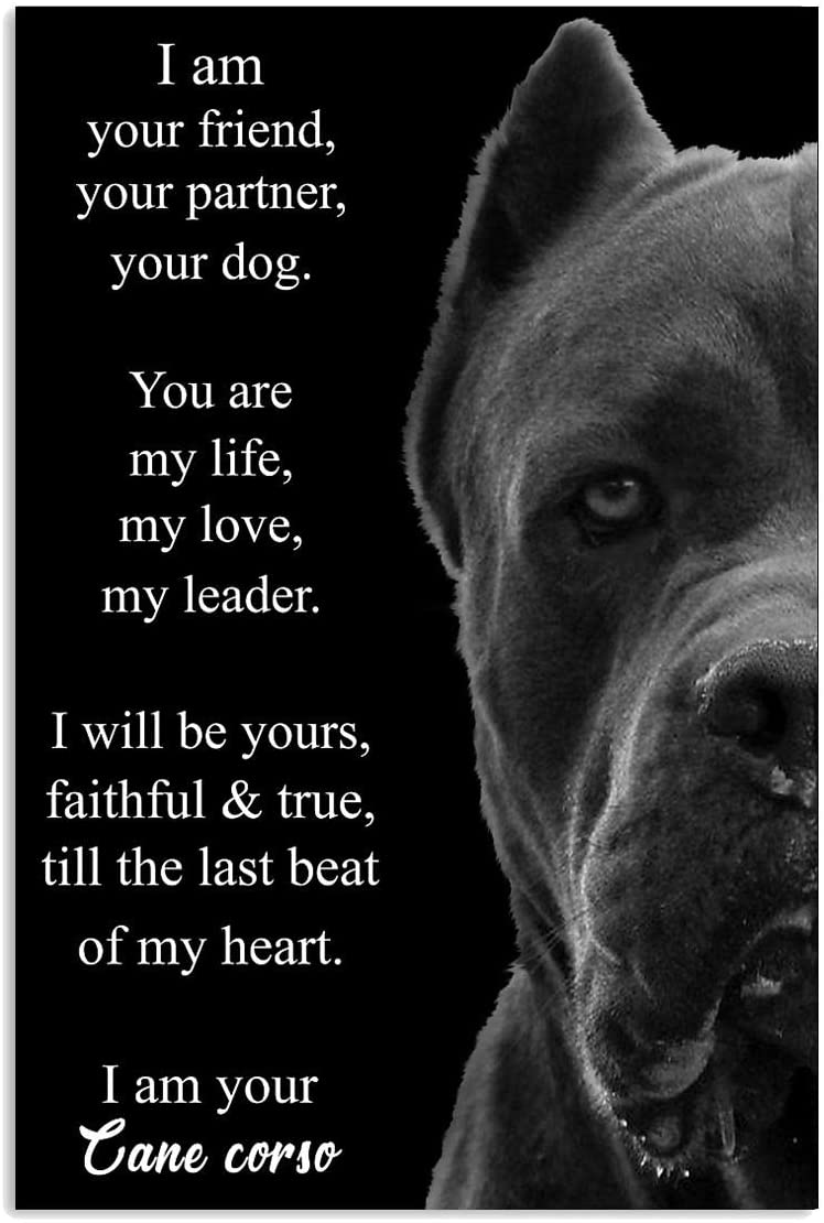 Dog Poster Cane Corso I Am Your Friend Your Partner Your Dog Wall ...