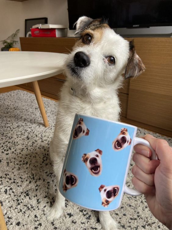 I love my pet Mug