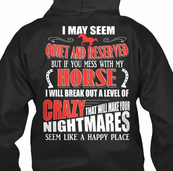 T May Seem Quiet And Reserved But If You Mess With My Horse Hoodie