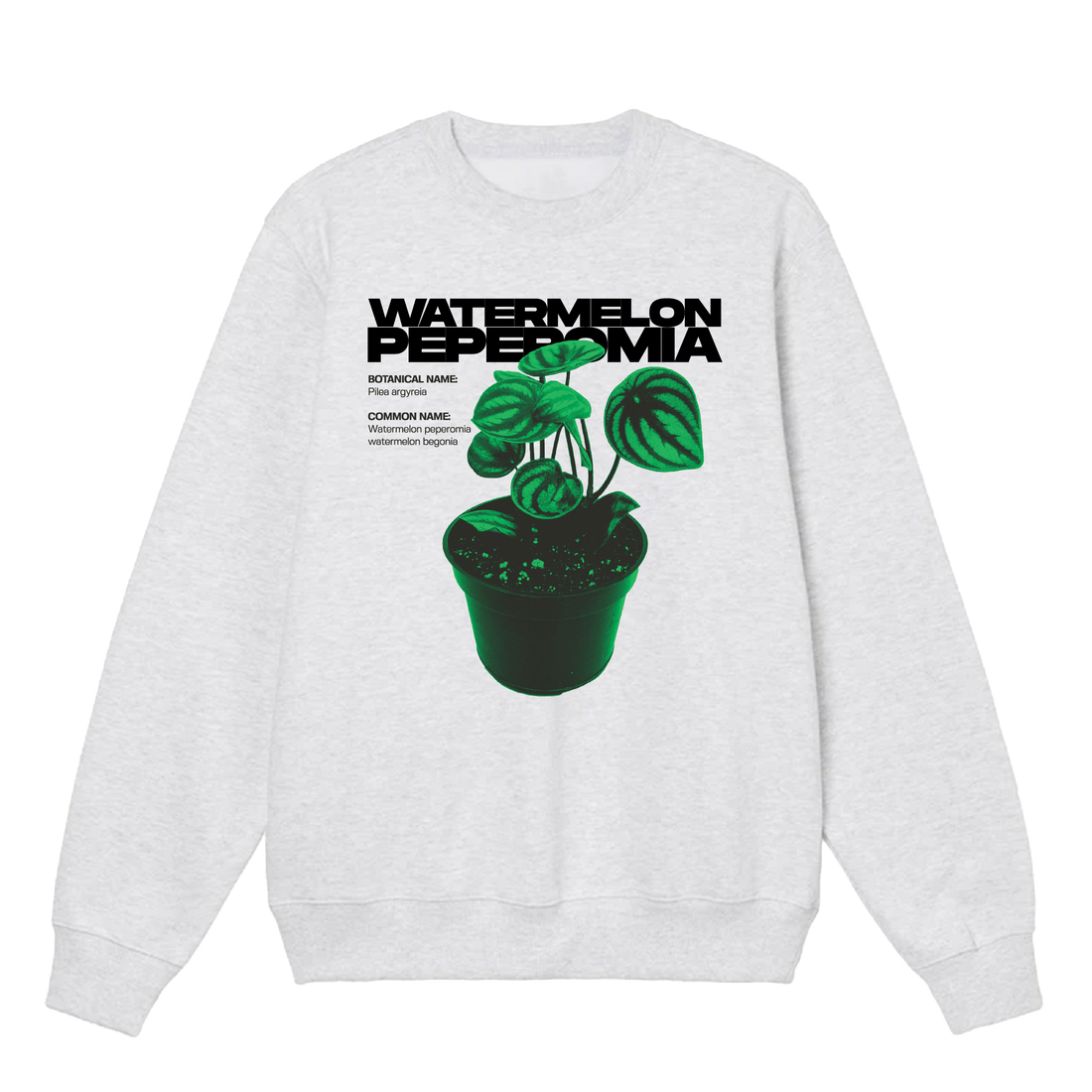 Watermelon Peperomia Crewneck